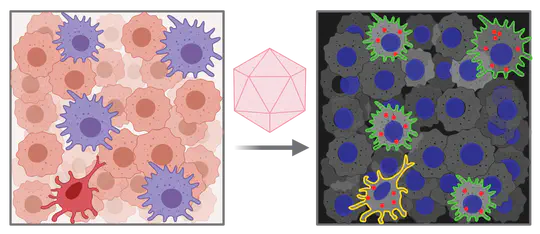 Immune-therapeutics and personalized vaccines
